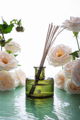 Vintage Garden | Natural Diffuser | Fir Balsam, Spice, Cedar