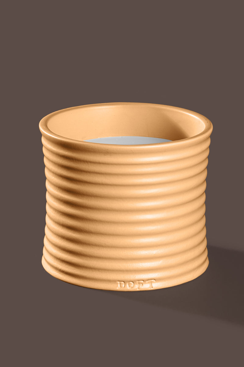 Daydream | Yellow | Scented Candle