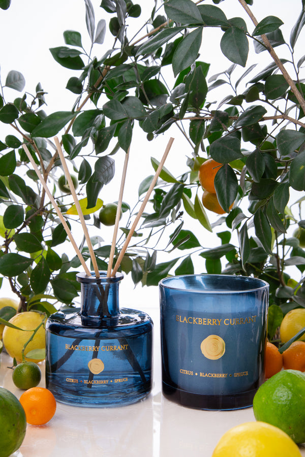 Blackberry Currant Set of 2 | Smoke | Scented Candle & Diffuser | Citrus, Blackberry, Balsam