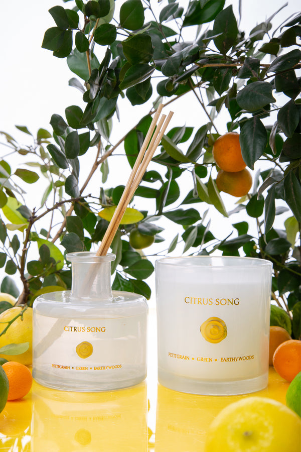 Citrus Song Set of 2 | White | Scented Candle & Diffuser | Fresh Citrus, Neroli, Earthy Woods