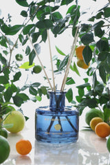 Blackberry Currant | Natural Diffuser | Citrus, Blackberry, Balsam