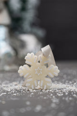 Woodland Muse Mini Wax Tablet Ornaments | Perfume Infused Wax Tablets | Set of 6