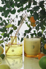 Amalfi Lemon Set of 2 | Lime Yellow | Scented Candle & Diffuser | Juniper, Citrus, Moss