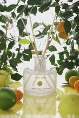 Citrus Song | Scented Natural Diffuser | Fresh Citrus, Neroli, Earthy Woods